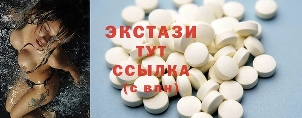 мдпв Елабуга