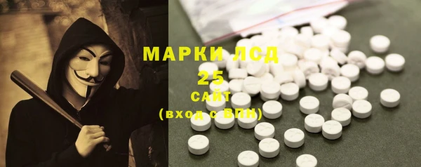 стаф Дмитриев